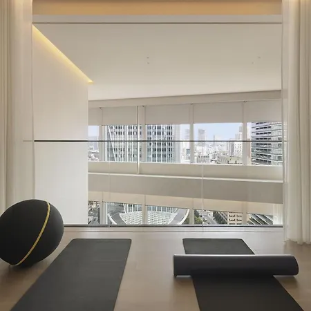 Hotel Toranomon Hills, The Unbound Collection By Hyatt-3